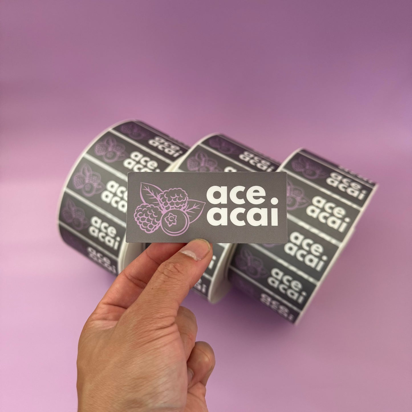 Rectangle Synthetic Labels