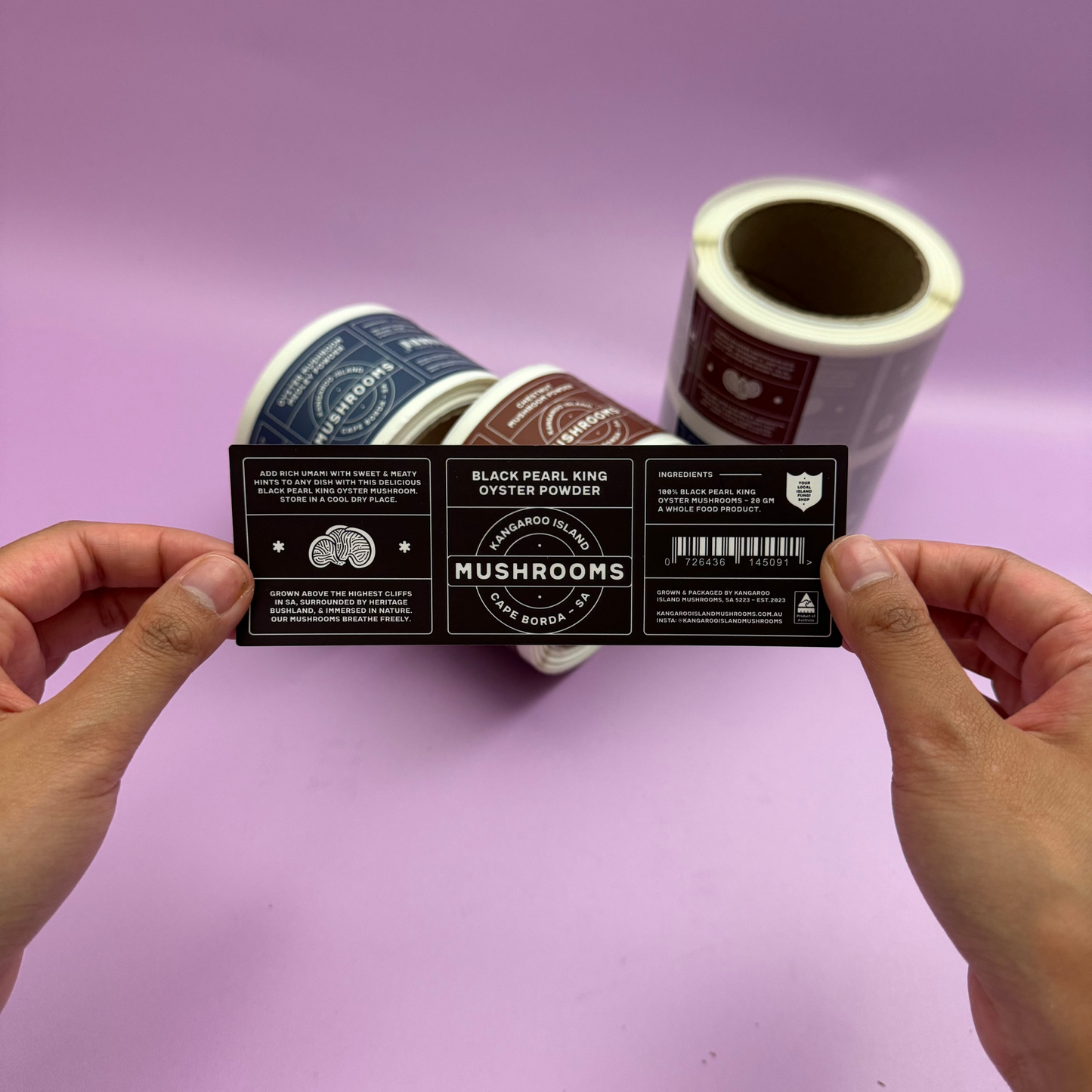 Rectangle Synthetic Labels